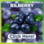 bildberry