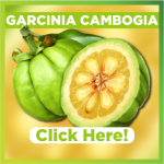 CAMBOGIA