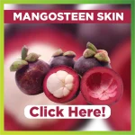 MANGOSTEEN SKIN